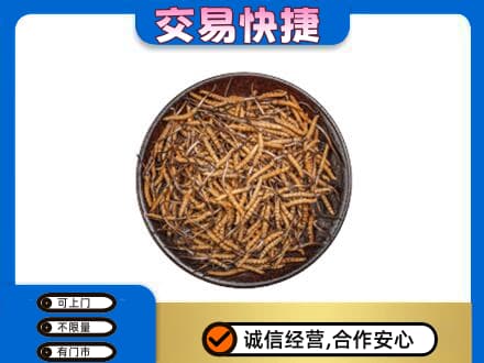 呼伦贝尔市莫力达瓦回收散虫草